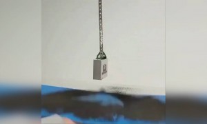 મેગ્નેટના ધ્રુઓ કરી રીતે આકર્ષે છે લોખંડને જુઓ