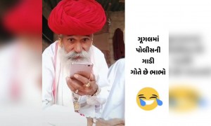 દાદાને વાળી શું પૂછવું છે ગૂગલને
