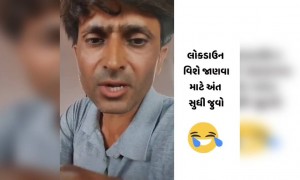 લોકડાઉંન વિશે જાણવા જુઓ અંત સુધી