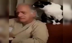 બિલાડી પણ છેને અપલખણી