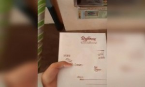 આ ભાઈ શુભ મુહૂર્ત કહેવા વાળા પંડિતને શોધે છે