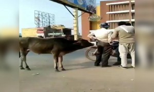 રોંગ નંબર લાગી ગયો