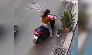 ગમલાની ચોરી