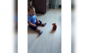 બાળક ડરી ગયું