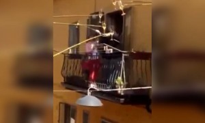 ભૂરિયાઓ પણ આપણી જેમ જુગાડ શોધી લ્યે છે