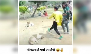 ભાઈના સીન વિખાઈ ગયા