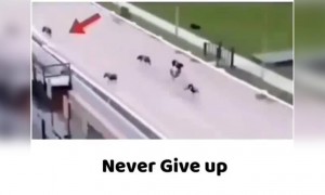 સંઘર્ષ જ સફળતાની ચાવી છે