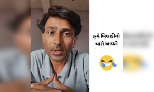 લોકડાઉનમાં બિલાડીનું શું થાય છે પૂછતા બહુ સરસ જવાબ આપ્યો