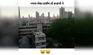 નવરા બેઠા ટાઈમ તો કાઢવો ને