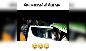 એલા ભાઈ વરરાજાને તો લેતા જાવ