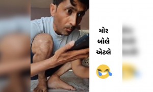 મોર બોલે એનો મતલબ શું થાય? આવું ગૂગલને પૂછતા જુઓ શું આપ્યો જવાબ
