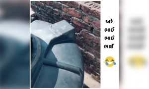 છે આવો કોઈ પાગલ આશિક તમારા ગ્રુપ માં?