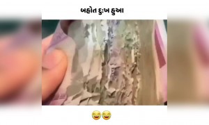 બહુ દુઃખ થયું ભાઈ