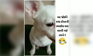 આ જોઈને કોની યાદ આવી ગઈ?