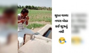 સુરત વાળા નવરા બેઠા કઈ સુજતું નથી