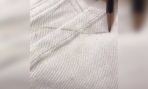 આ ભાઈના ગજવામાંથી ક્યારેય પૈસા ખૂટશે?