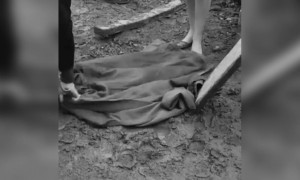 એવોર્ડ વિનિંગ સીન