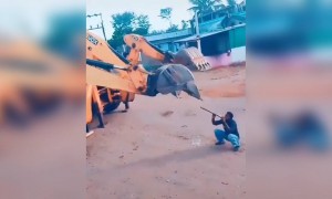 હવે એક આ જોવાનું બાકી હતું, JCBનો નાગિન ડાન્સ