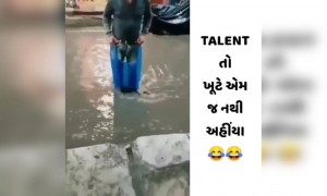 ટેલેન્ટ તો ખૂટે એમજ નથી અહીંયા