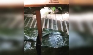 જેવો એક જગ્યાએ વર્ષો સુધી પાણી ધીમીધારે છોડવામાં આવે તો શું થાય