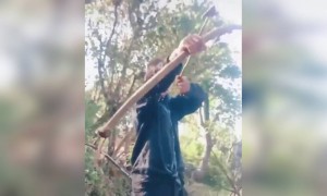 હાજી બતાવો આ પ્રજાને રામાયણ