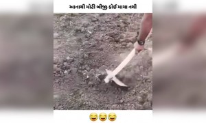 અત્યારે આનાથી મોટી માયા શું હોઈ શકે