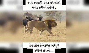 પ્રેમ હોય કે નફરત ભરપૂર કરીયે...