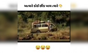 અત્યારના સમયમાં છીંક ખવી એ મોટો ગુન્હો છે ભાઈ....