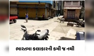 પોતાની પ્રતિભા બતાવી, એક નવો કલાકાર ઉભરી આવ્યો