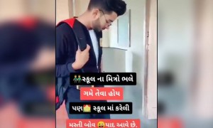 સ્કુલના મિત્રો