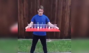 પ્રયાસ કરો સફળતા મળશે