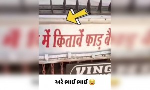 છોટા હાથી પાછળ લખી નાખી જિંદગીની કહાની