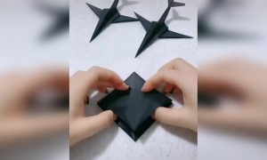 જુઓ પોતાની જાતે જ કાઈ રીતે બનાવશો પેપર પ્લેન