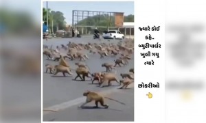 જ્યારે બ્યુટી પાર્લર ખૂલશે ત્યારે.....