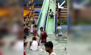 આવી મજા લીધી તમે ક્યારેય