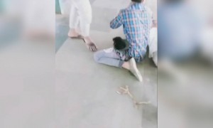 પોતે તો પડ્યો પણ બીજાના કપડાં ફાડી નાખ્યા