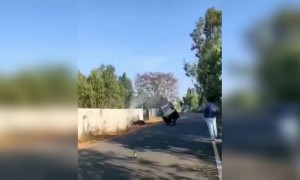 જુઓ આને કહેવાય બેલેન્સ