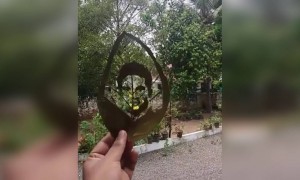 માસ્ટર બ્લાસ્ટર સચિન તેંડુલકર ને જન્મદિવસ ની હાર્દિક શુભકામનાઓ