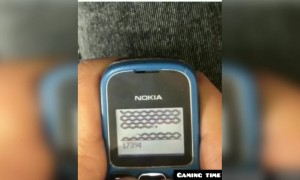 યાદ છે ને આ દિવસો કે ભૂલી ગયા?