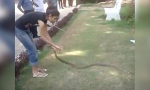 મહિલાઓને નિર્બળ સમજવા વાળા આ વિડિઓ જોઈ લ્યે