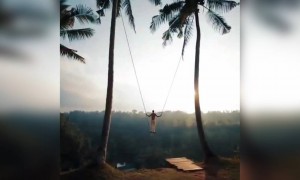 અદભુત દ્રશ્ય