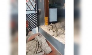 કેમ છે બાકી આની ભાઈબંધી