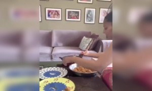 બિપાશા બાસુએ પોતાની લગ્ન વર્ષગાંઠ ઉજવવા બનાવ્યા લાડુ, શેર કર્યો વિડિઓ