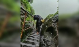 કોને કોને જવું છે અહીંયા?