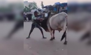 બાહુબલી-3 નું ટ્રેઇલર થયું લોન્ચ