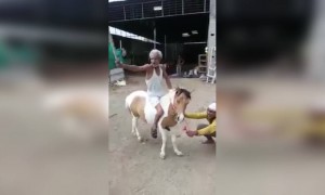 યૌદ્ધા તૈયાર છે લડાઈ માટે