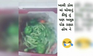 ખાલી શાકભાજી ધોવાનું કહ્યું હતું