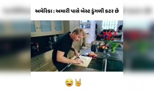 બેસ્ટ ડુંગળી કટાર