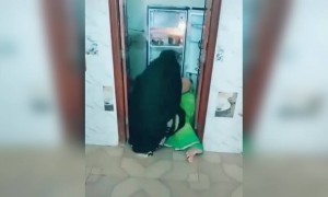 ગરમીનો કહેર