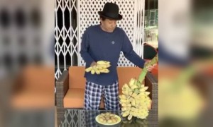 ધરમ પાજી પોતાના ફાર્મ હાઉસ પર વિતાવી રહ્યા છે લોક ડાઉન નો સમય